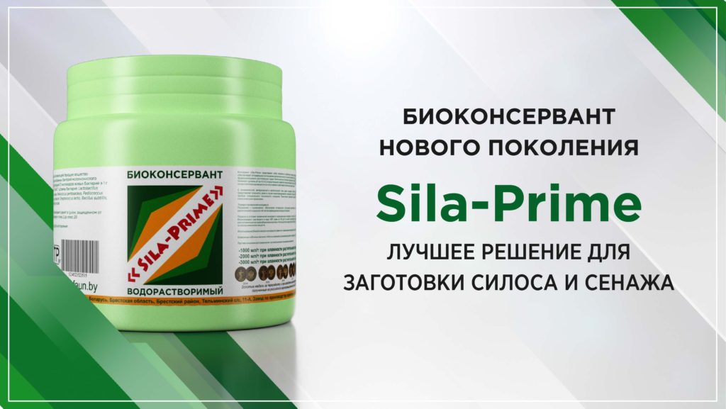 Презентация