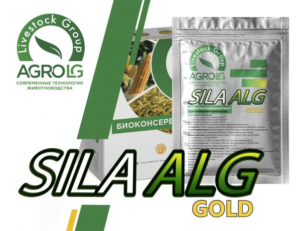 Sila ALG GOLD